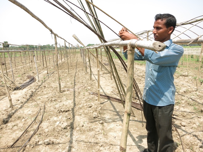 Bangladesh Success Story: Access to Finance Empowers Tomato Farmer