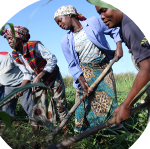 AGRICULTURE AND  PRIVATE SECTOR  DEVELOPMENT