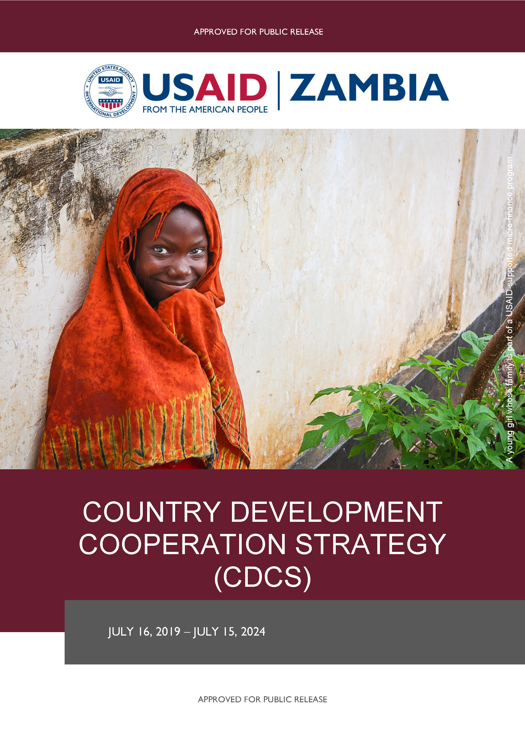 USAID/Zambia 2019-2024 Country Development Cooperation Strategy (CDCS)