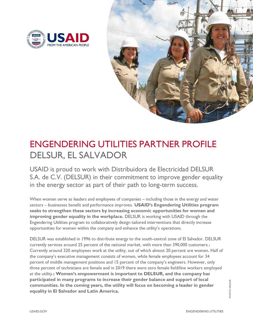Engendering Utilities Partner Profile: DELSUR, El Salvador