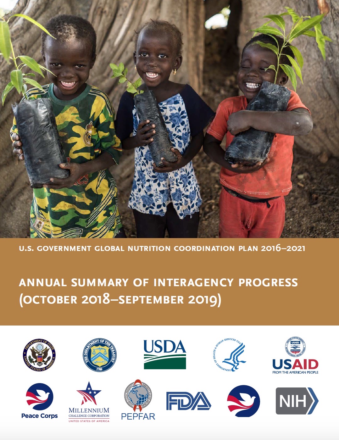 U.S. Government Global Nutrition Coordination Plan - Year 3 Report