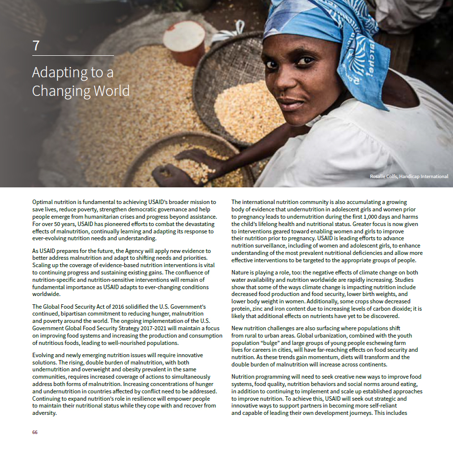 The History of Nutrition at USAID: Chapter 7