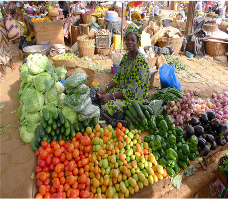 USAID/Zambia Economic Development Office Policy Strengthening Project