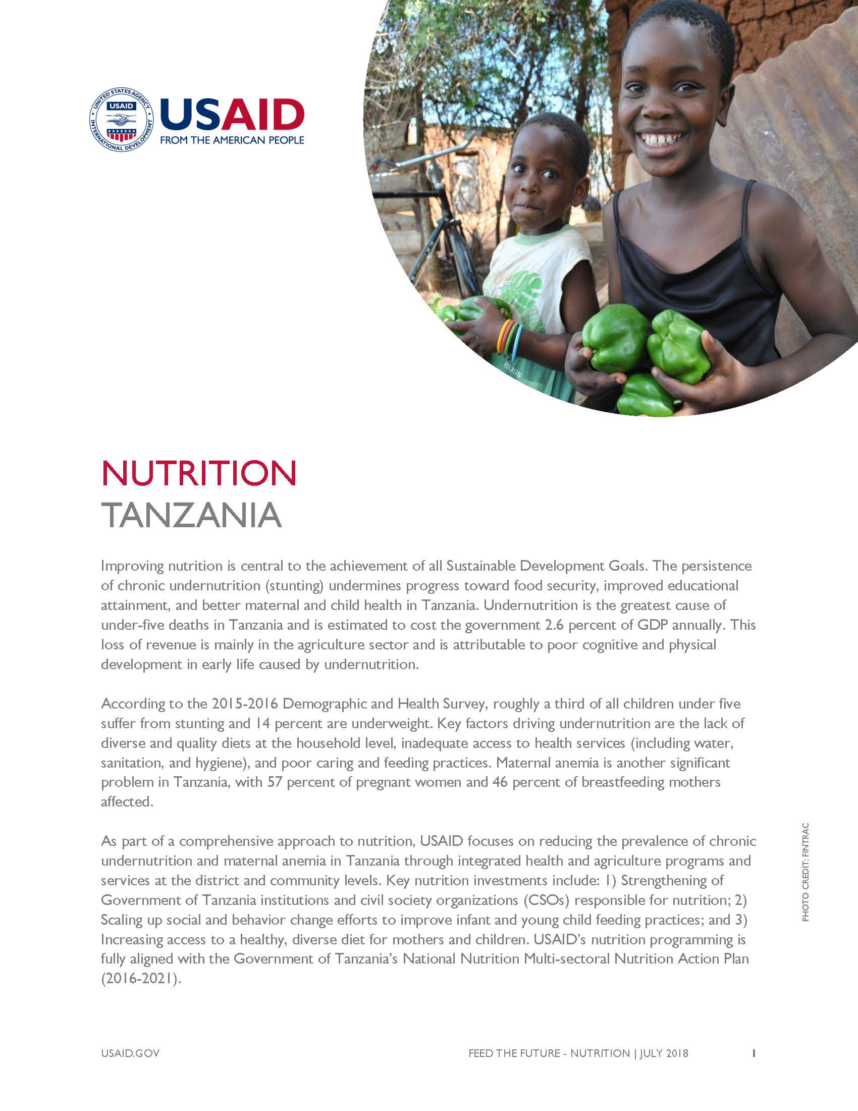 USAID Tanzania Nutrition Fact Sheet