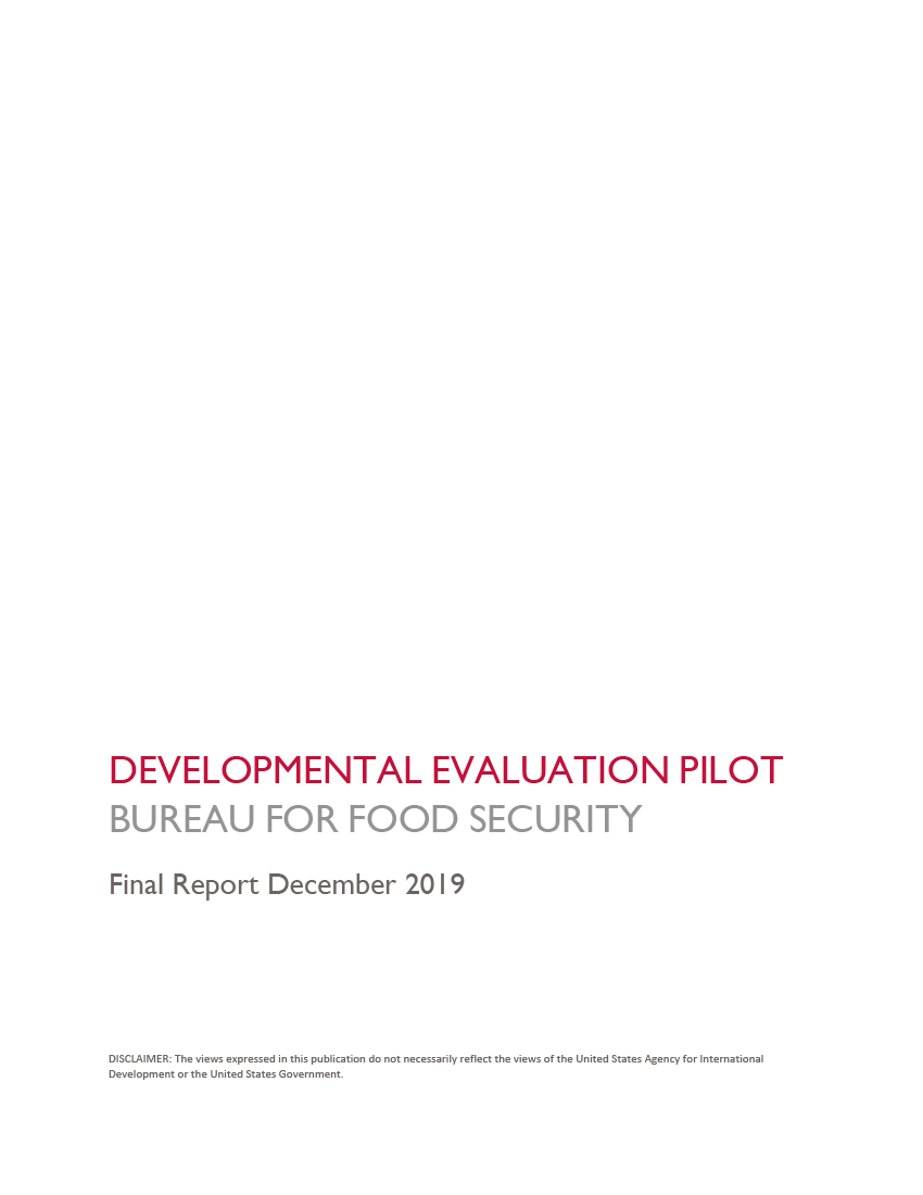 Bureau for Food Security DE Pilot Final Report