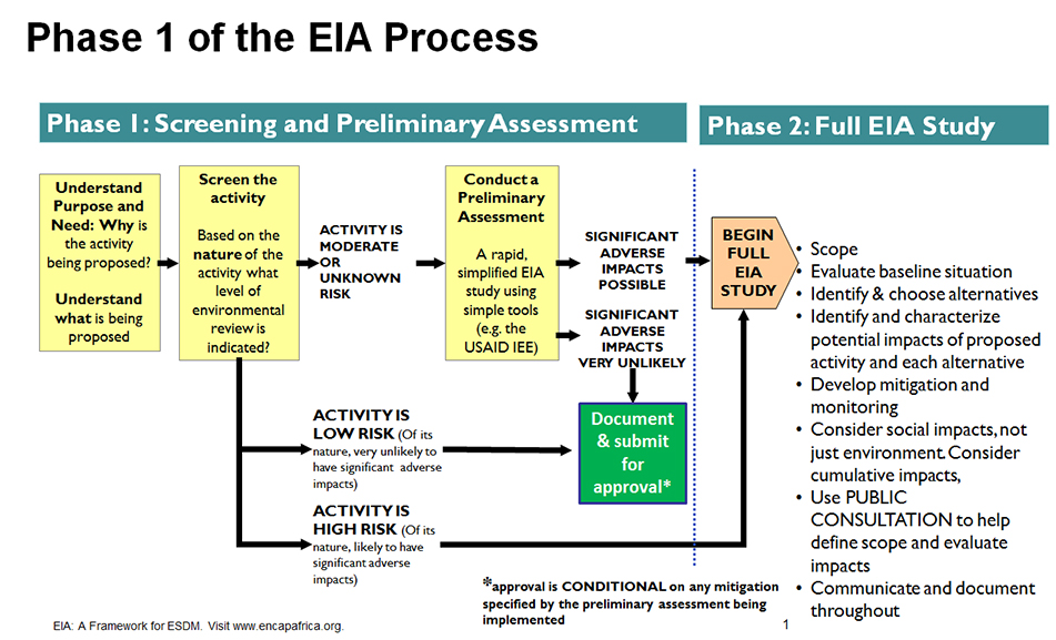 explain any case study of eia in detail