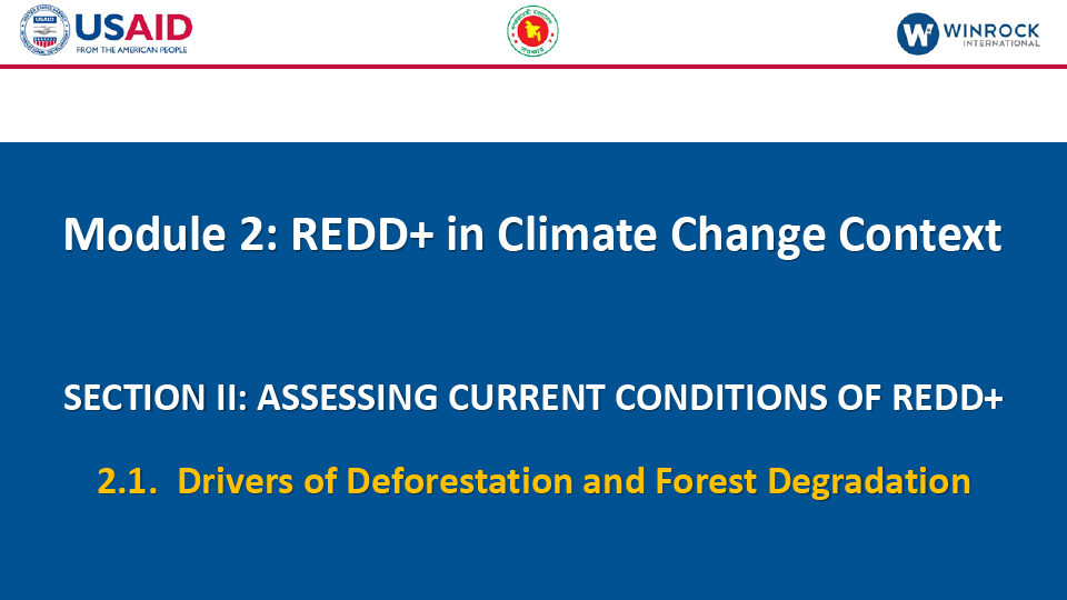 2.1. Drivers of Deforestation and Forest Degradation