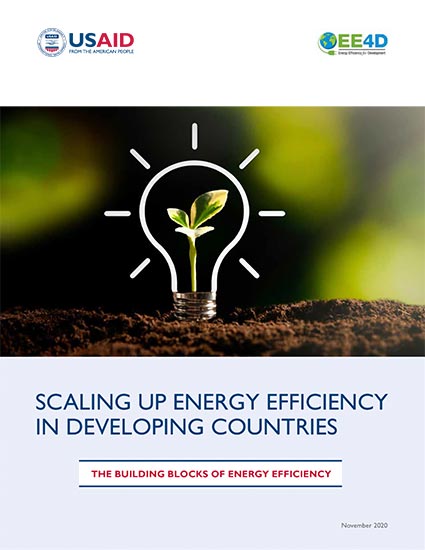 Scaling Up Energy Efficiency in Developing Countries