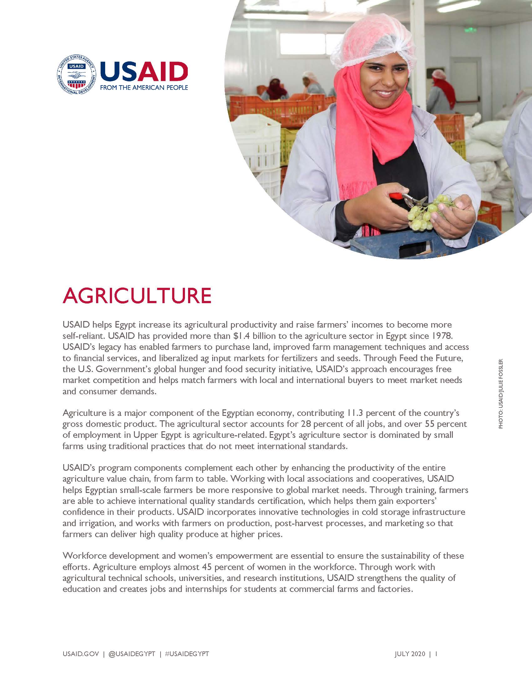 USAID/Egypt Fact Sheet: Agriculture
