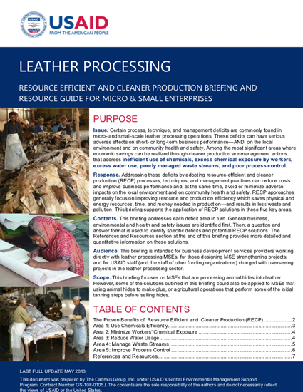 MSE Sub-Sector Briefing: Leather Processing (2013)