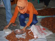 AMARTA Sulawesi Kakao Alliance