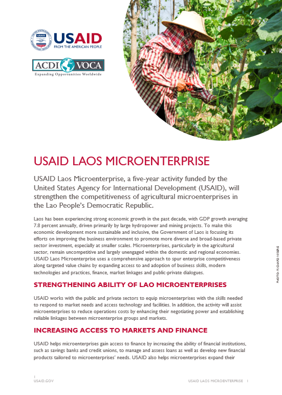 Download USAID Laos Microenterprise Fact Sheet