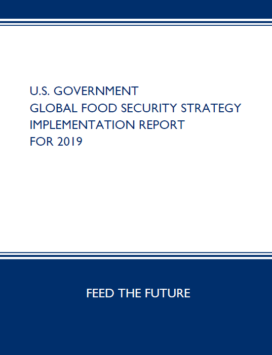 The Global Food Security Strategy Implementation Report for 2019