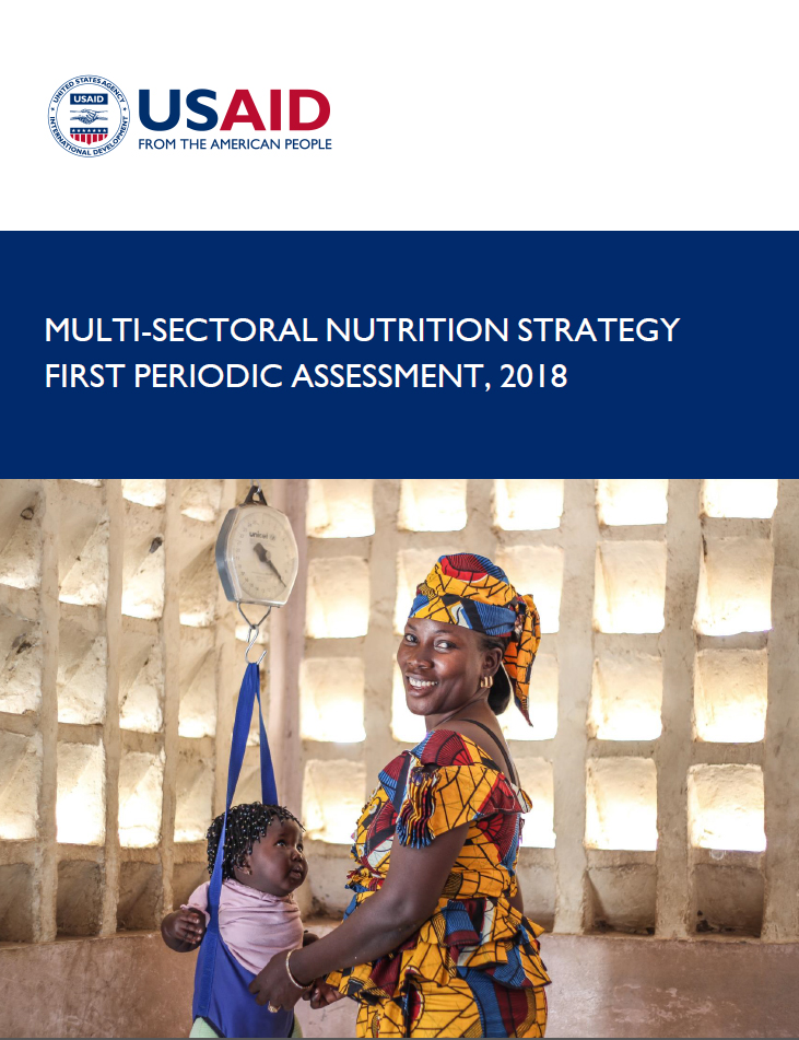 Multi-sectoral Nutrition Strategy First Periodic Assessment, 2018