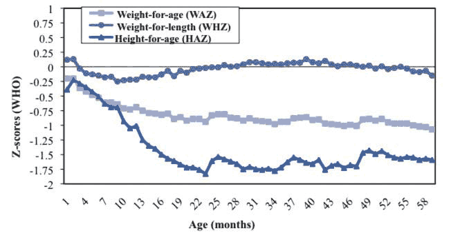 The line chart shows three lines, weight for age, weight for height and height for age (HAZ). Z scores are on the Y axis and age in months on the X axis