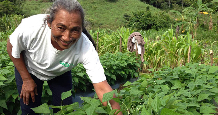 With Feed the Future's help, women farmers are learning to produce high-value crops in Honduras. The woman pictured here is a member of a women's group that has ventured into growing French beans for export to Guatemala.