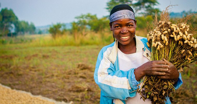 Uganda is one of the fastest growing economies in Africa. Feed the Future is helping increase opportunities for smallholder farmers like Alice Monigo in Uganda by providing trainings for women.