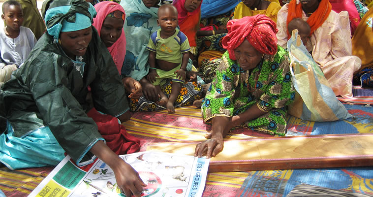 a health worker explains a poster to a group of mothers with their children SPRING Project