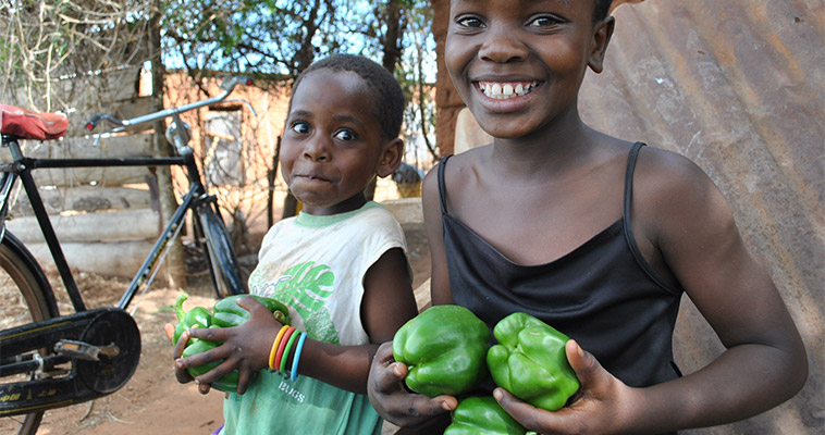 In Tanzania, Latifah Ali, 10, and Lilian, 6, hold sweet peppers given to them by their grandfather, John Mkeni, a beneficiary USAID's Tanzania Agriculture Productivity Program, part of Feed the Future. 