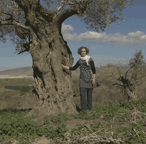 Woman standing by an olive tree