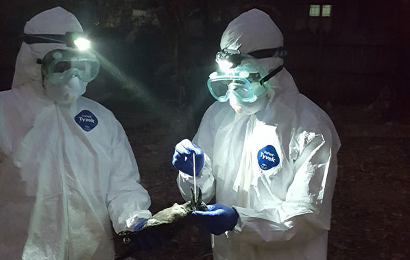 Photo of two health workers in protective suits. Photo credit: PREDICT