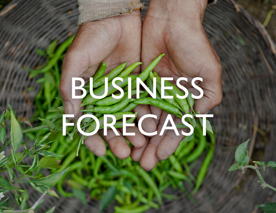 Business Forecast - A pair of hands gathering harvest from a basket
