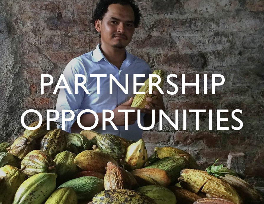 Partnership Opportunities - A man looks over his harvest
