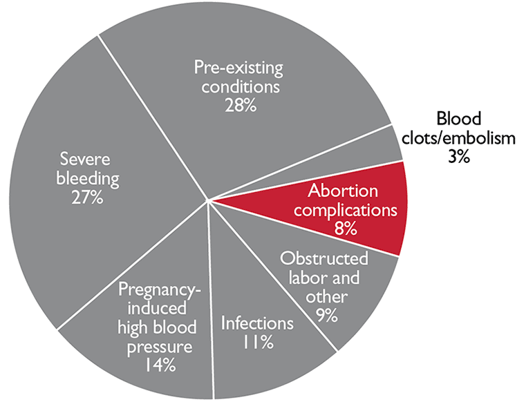 Graphic of a chart.<br />
Severe bleeding 27%<br />
Pregnancy-induced high blood pressure 14%<br />
Infections 11%<br />
Obstructed labor and other 9%<br />
Abortion complications 8%<br />
Blood clots/embolism 3%<br />
Pre-existing conditions 28%