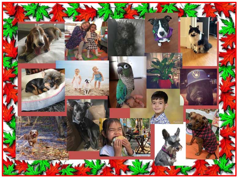 Montage of photos with a festive border