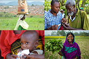 cover photo of Food assistance and security strategy