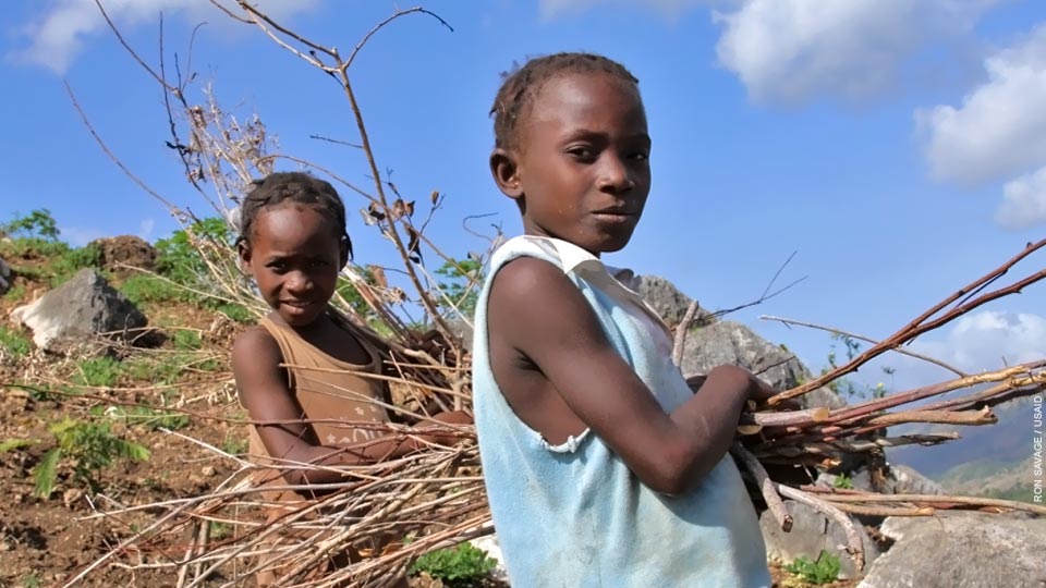 Girls collecting firewood in Haiti.