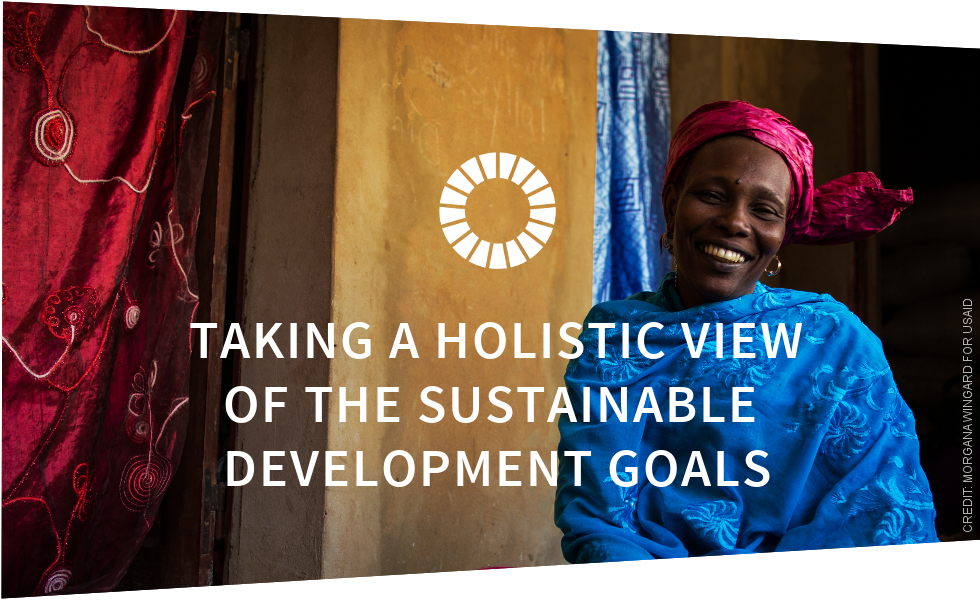 Taking a Holistic View of the Sustainable Development Goals