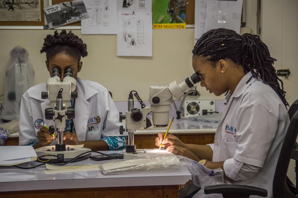 Lab supervisors Towanna Campbell and Jervis Crawford of Zap Jamaica count mosquito eggs at the University of the West Indies in Mona, Jamaica.<br />
Photo credit: Stephen Kierniesky for USAID