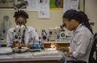 Two lab workers examine samples from a microscope