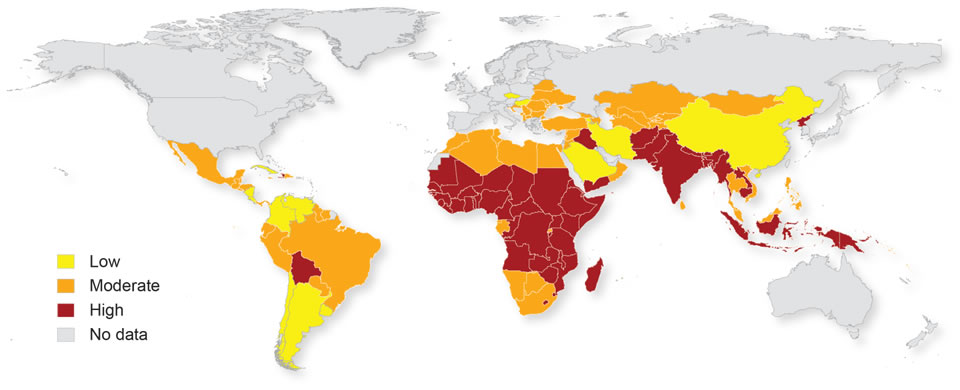 World map showing the distribution of anemia, vitamin A, and Zinc deficiencies by color, where yellow = Low, orange = Moderate, red = high, and grey = no data. 