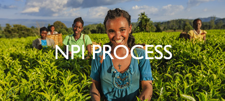 NPI Process - A group of farmers in a field