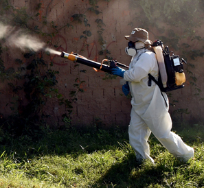 A man sprays insecticide