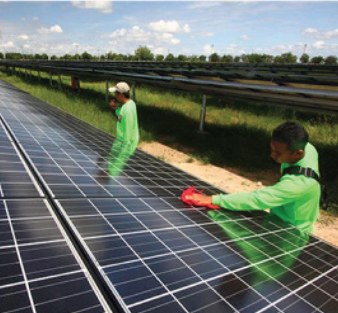 Workers at a solar farm clean a panel