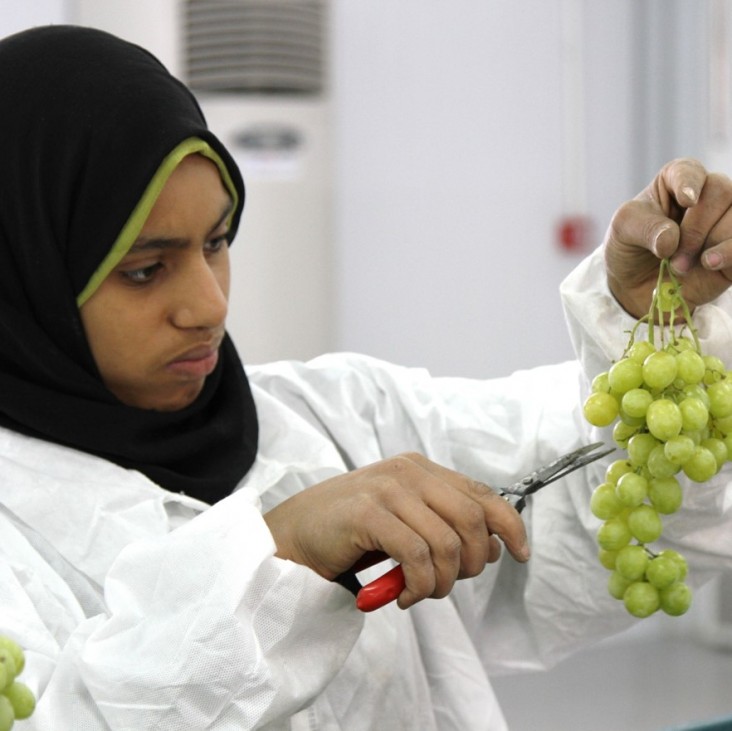 A woman prepares grapes for packaging