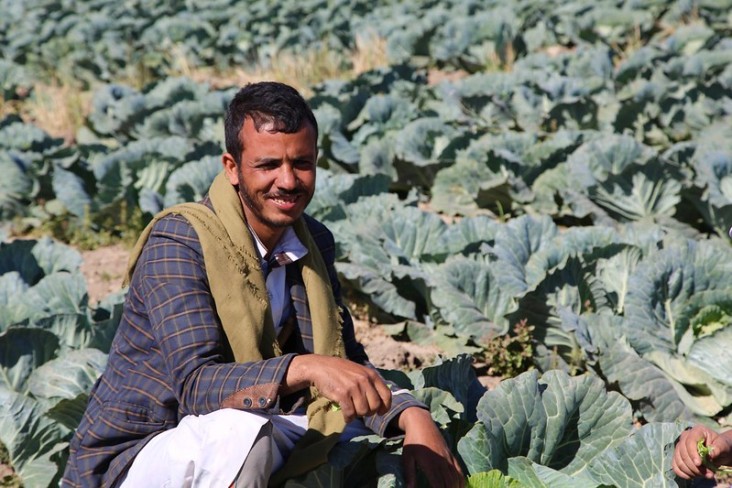 A Yemeni farmer