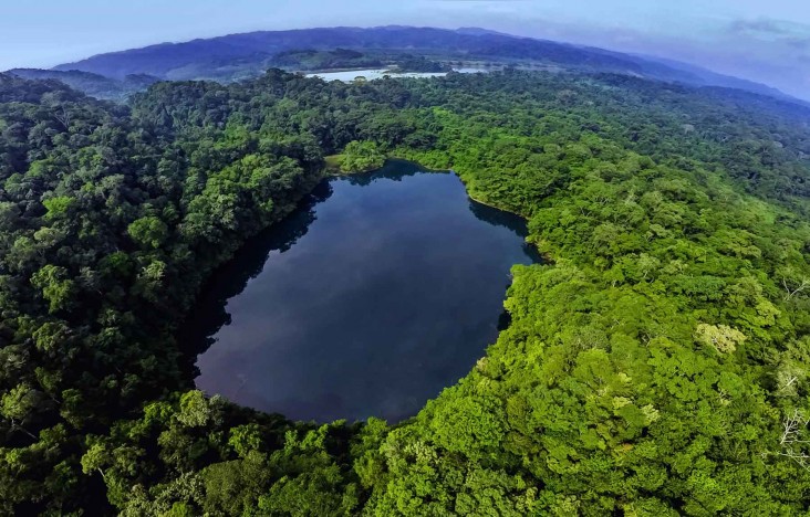 Aerial view of Guatemala's Maya Biosphere Reserve