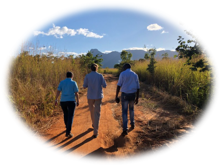 Staff from the US Forest Service, Wildlife Conservation Society, and National Agency for Conservation Areas of Mozambique walking through the Niassa Special Reserve landscape. Photo: USFS