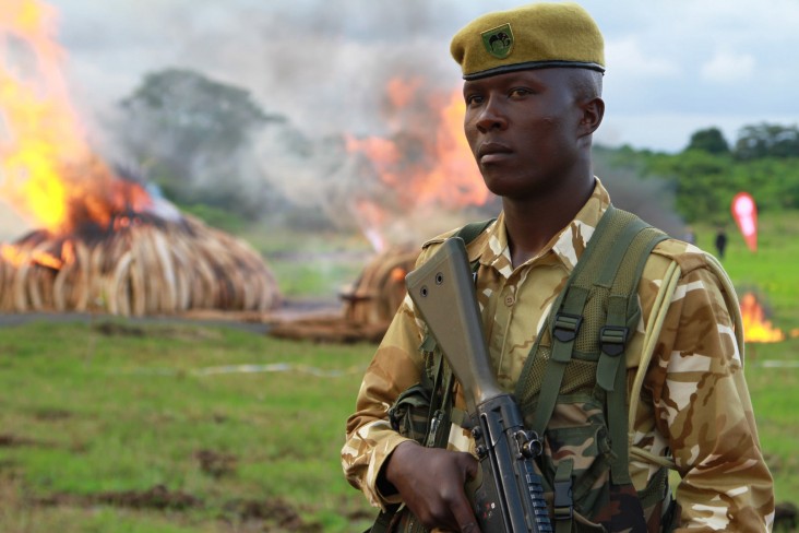 Kenya Ranger at Ivory Burning