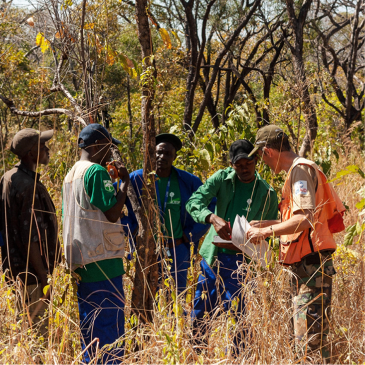 USFS PAPA surveyors review forestry markers in one of Zambia's national forests.