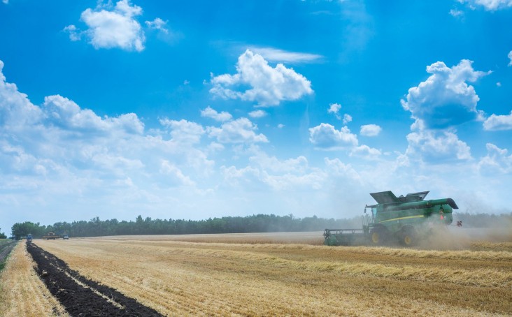 Harvesting time in Ukraine