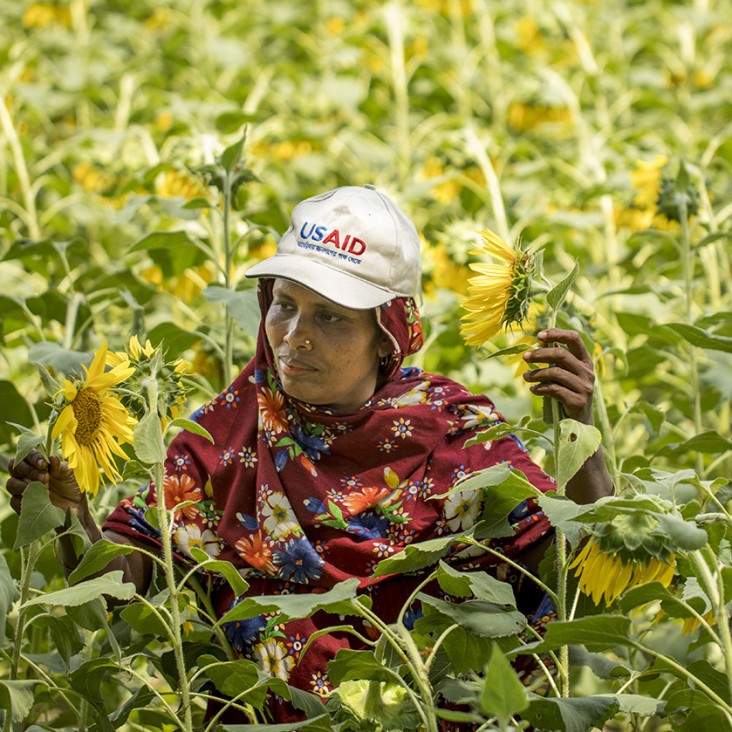 USAID builds self-reliance by strengthening Bangladesh’s ability to plan, finance and implement its own development solutions. USAID builds self-reliance by strengthening Bangladesh’s ability to plan, finance and implement its own development solutions.