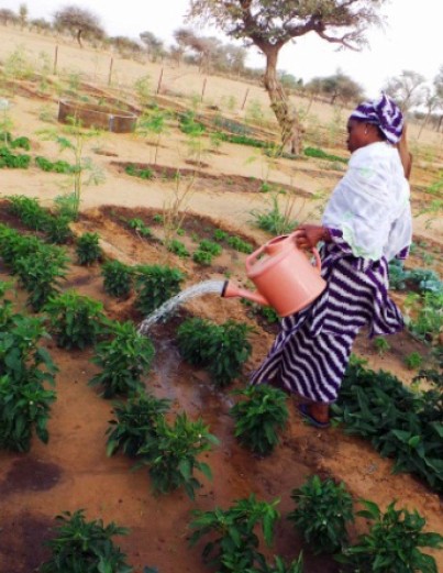 A woman waters her crops in her village’s community garden.