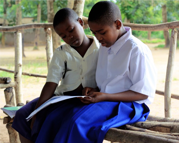 USAID partners with the Government of Tanzania to improve reading and arithmetic in the early grades.