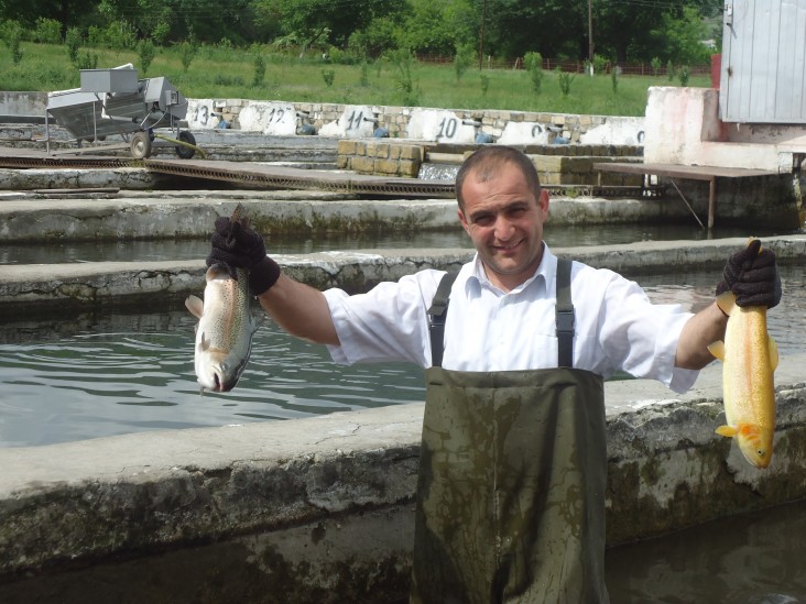 Girgbulag trout farm executive manager