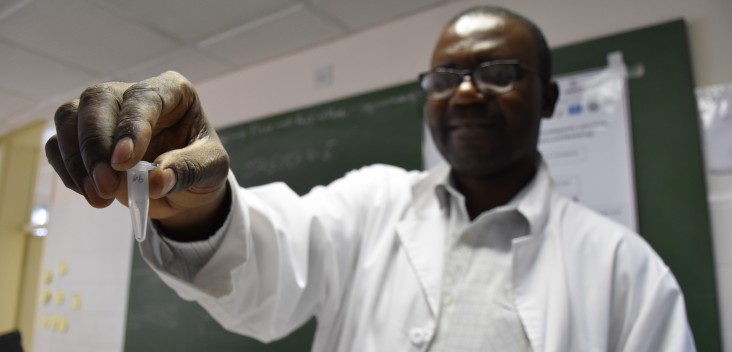 An insectary manager holds up a mosquito sample